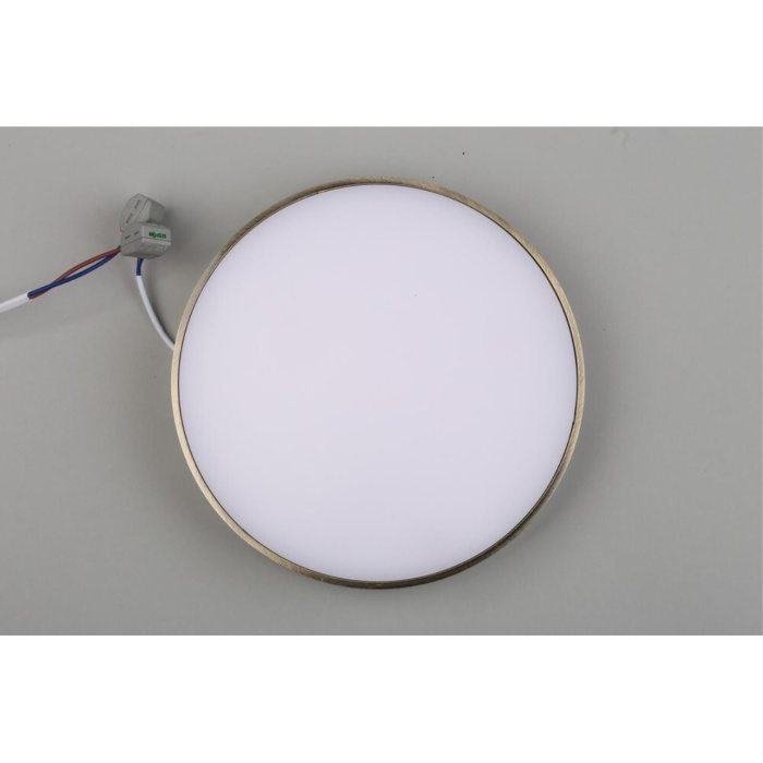 Светильник настенно-потолочный Aployt Evon APL.0113.29.24