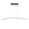 Подвесной светильник Maytoni Curve MOD243PL-L18BK