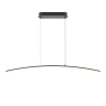 Подвесной светильник Maytoni Curve MOD243PL-L18BK