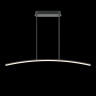 Подвесной светильник Maytoni Curve MOD243PL-L18BK