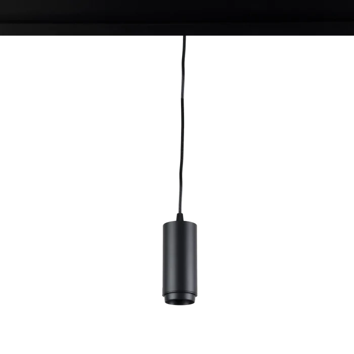Трековый светильник LOFT IT T046-06P