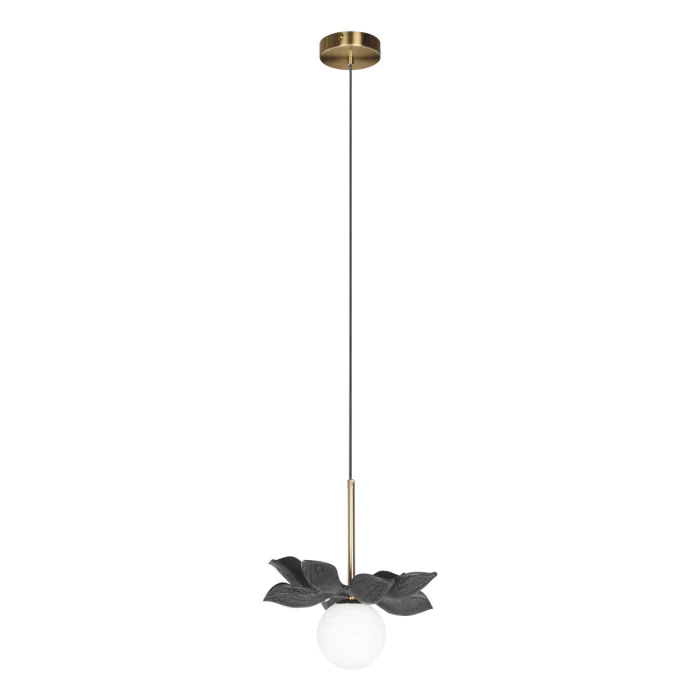 Подвесной светильник LOFT IT Monro 10213/B Black