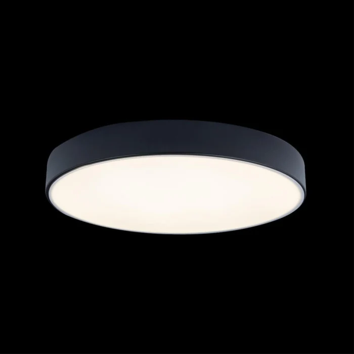 Светильник потолочный Loft it Axel 10002/24 Black