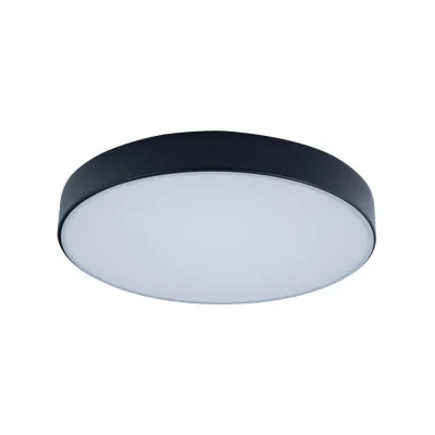 Светильник потолочный Loft it Axel 10002/24 Black