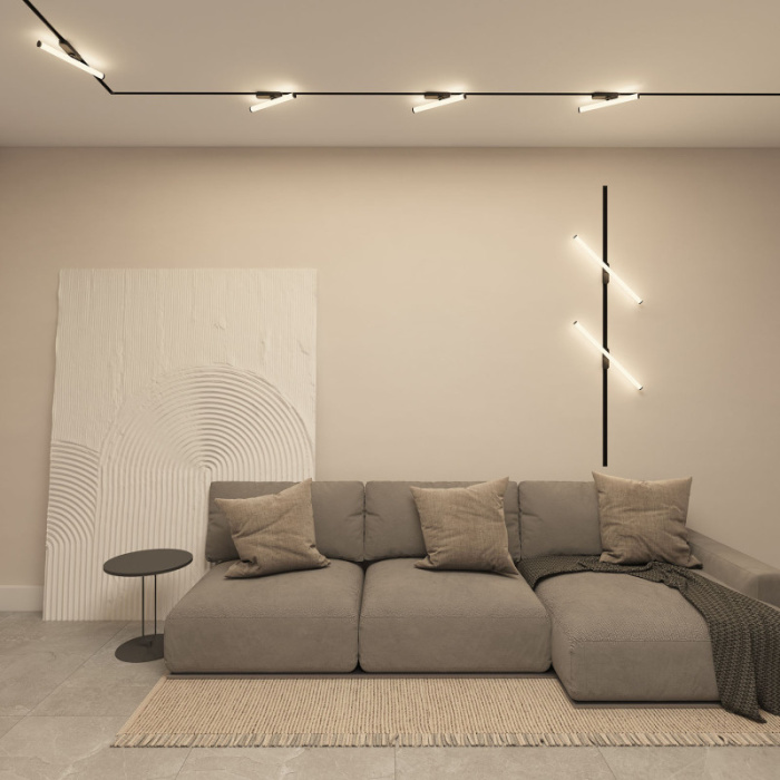 Светильник на шине Denkirs Strom DK6648-BK