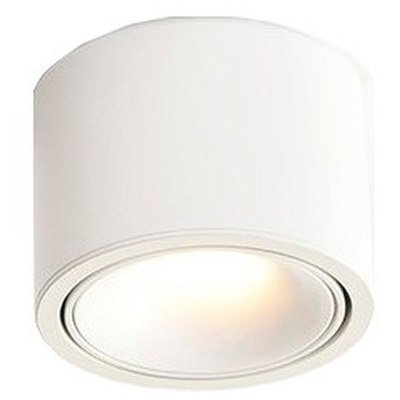 Светильник точечный накладной ALTAIR WERTMARK TECHNICAL WTA.O06.007.30.12