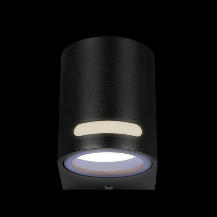 Уличный настенный светильник Loft it Stema 100012/A