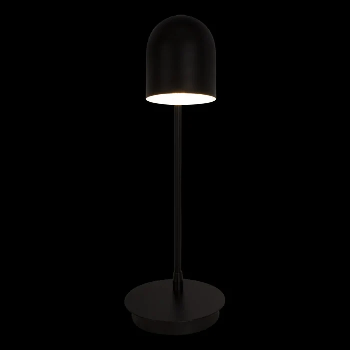 Настольная лампа  LOFT IT 10144 Black