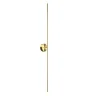 Настенный светильник Maytoni Elegant C084WL-L18BS2.7K-1