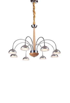 Люстра подвесная Lucia Tucci Natura 065.8 Led