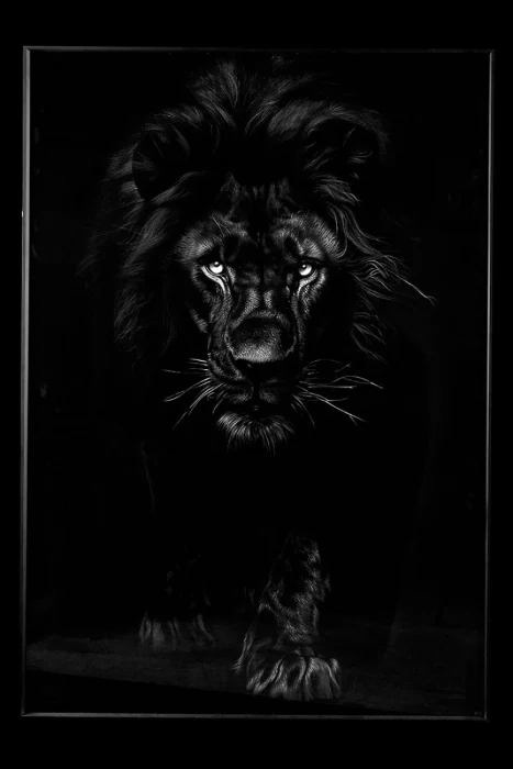 Картина Teona Decor Lion TD168