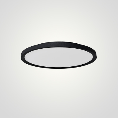 Потолочный светильник EXTRASLIM D50 Black ImperiumLoft