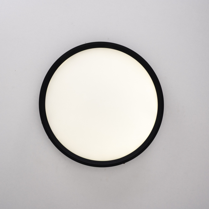 Потолочный светильник EXTRASLIM D50 Black ImperiumLoft