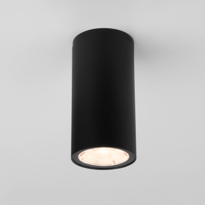 Уличный потолочный светильник Elektrostandard Light led 4690389176562