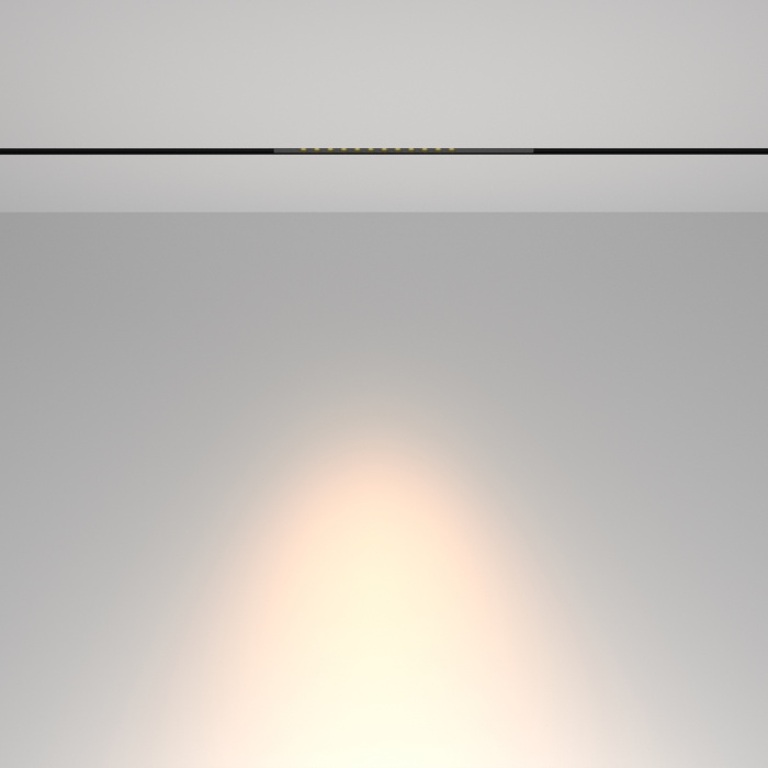 Трековый светильник Maytoni Points TR232-2-10W3K-B