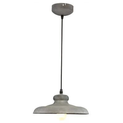 Светильник подвесной Arte Lamp LOFT A5025SP-1BG