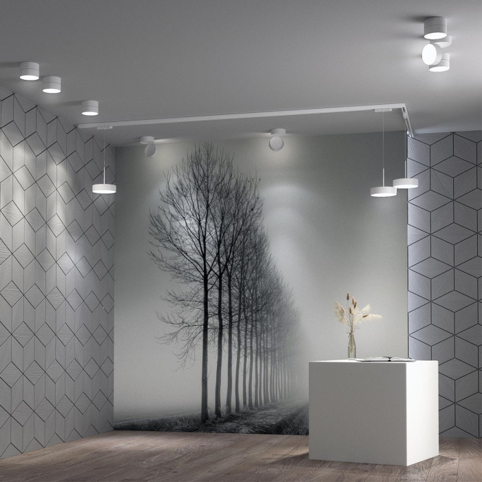 Спот OVER NOVOTECH 358749