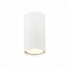 Светильник потолочный ST LUCE ST110.507.01