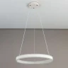 Светильник подвесной Citilux Дуэт CL719500