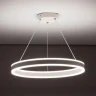 Светильник подвесной Citilux Дуэт CL719500
