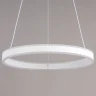 Светильник подвесной Citilux Дуэт CL719500