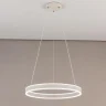 Светильник подвесной Citilux Дуэт CL719500