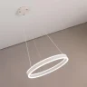 Светильник подвесной Citilux Дуэт CL719500