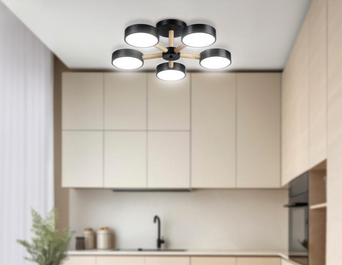 Потолочный светодиодный светильник с пультом Ambrella light FL4828