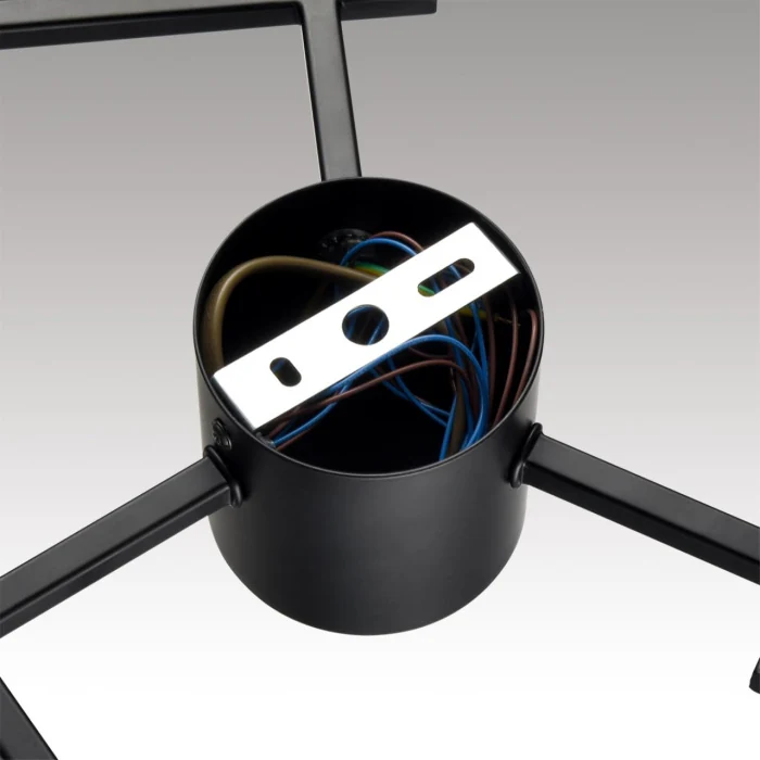 Накладная люстра Lumion Dabra 8186/6C