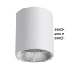 Потолочный светильник Odeon Light Brim 7139/12CL