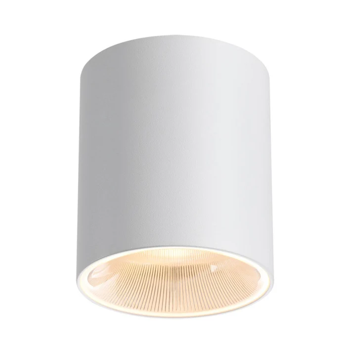 Потолочный светильник Odeon Light Brim 7139/12CL