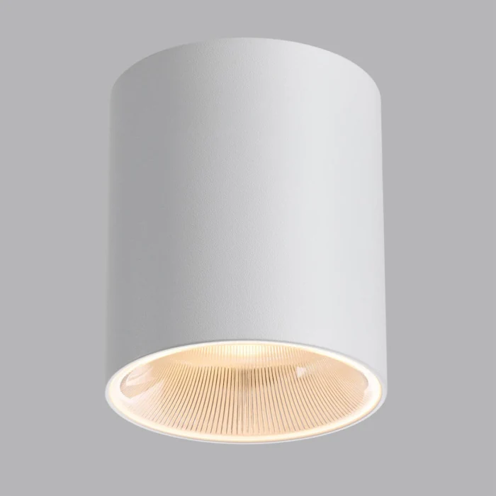 Потолочный светильник Odeon Light Brim 7139/12CL