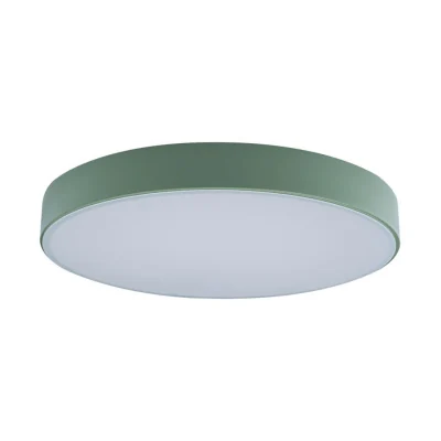 Светильник потолочный Loft it Axel 10002/24 Green