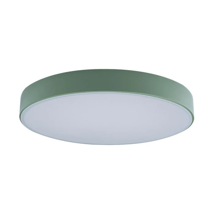 Светильник потолочный Loft it Axel 10002/24 Green