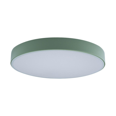 Светильник потолочный Loft it Axel 10002/24 Green