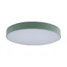 Светильник потолочный Loft it Axel 10002/24 Green