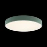 Светильник потолочный Loft it Axel 10002/24 Green