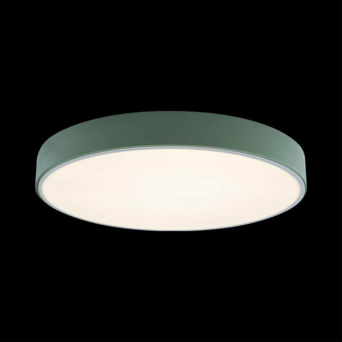 Светильник потолочный Loft it Axel 10002/24 Green