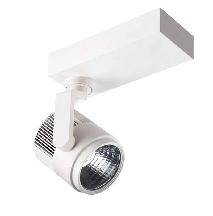 Потолочный светильник Leds C4 ACTION PR-0960-14-37