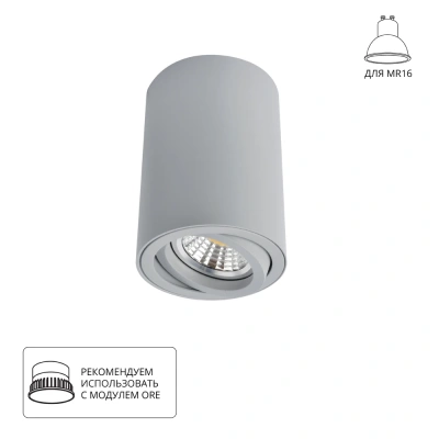 Потолочный светильник Arte Lamp A1560PL-1GY