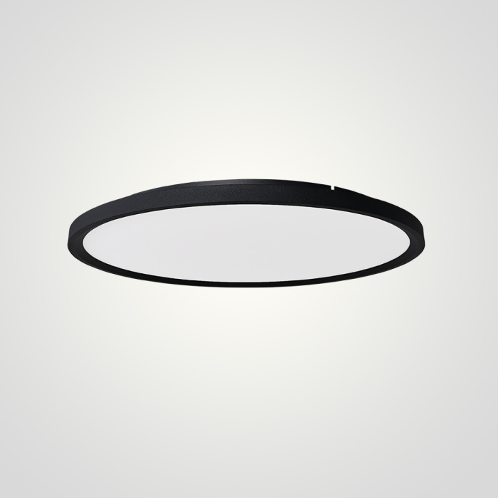 Потолочный светильник EXTRASLIM D60 Black ImperiumLoft