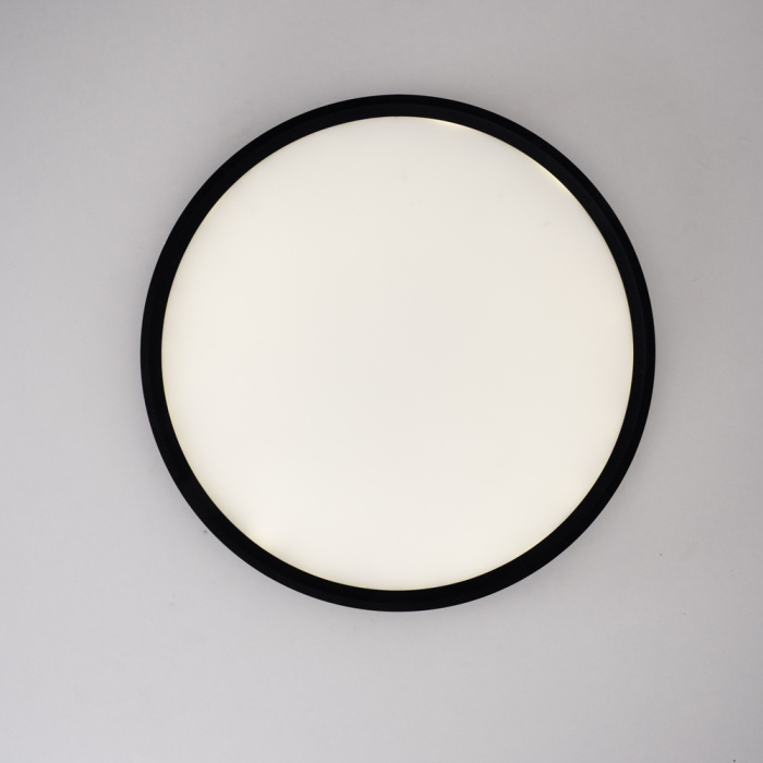 Потолочный светильник EXTRASLIM D60 Black ImperiumLoft