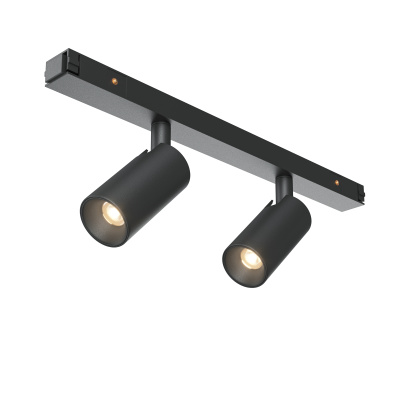 Трековый светильник Maytoni Focus Duo TR176-1-2X3WTW-M-B
