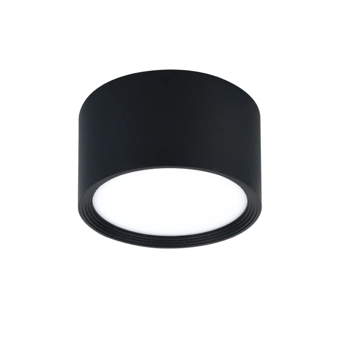 Потолочный светильник 20005LED ESCADA 20005SMU/04LED SBK