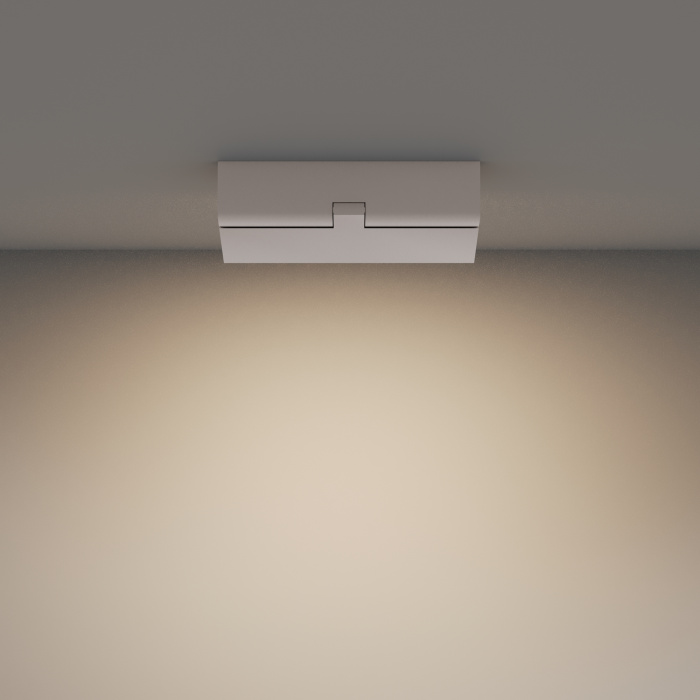 Потолочный светильник Maytoni Basis Rot C133CL-12W3K-W