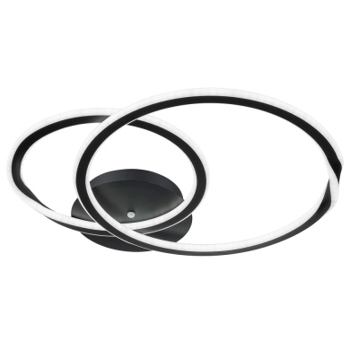 Светильник потолочный Arte Lamp SIERRA A2211PL-2BK