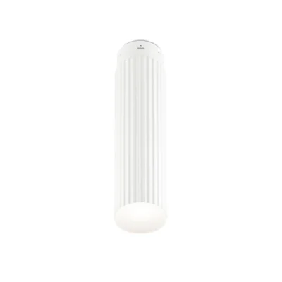 Потолочный светильник LEDS C4 RIGATTO 15-5279-BW-BW 