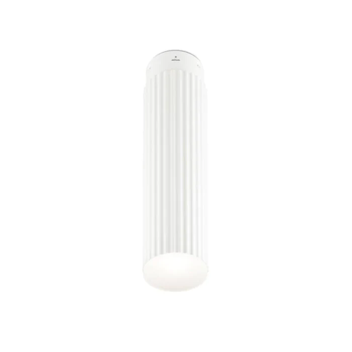 Потолочный светильник LEDS C4 RIGATTO 15-5279-BW-BW 