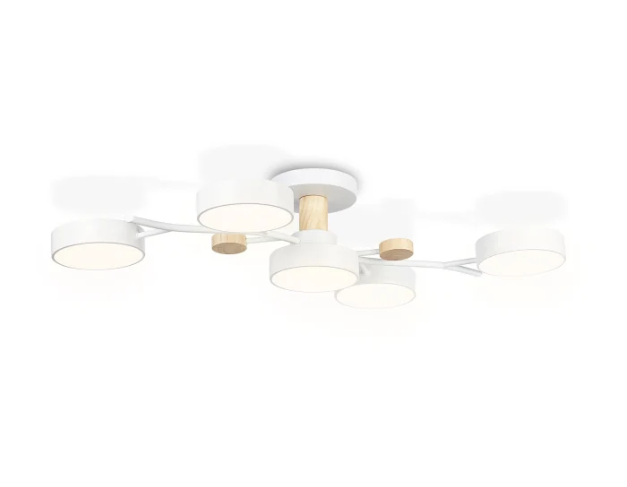 Потолочный светодиодный светильник с пультом Ambrella light FL4834