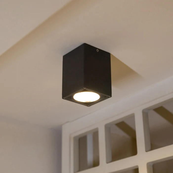 Потолочный фонарь Natural Concepts Dwell NC-133474-DG